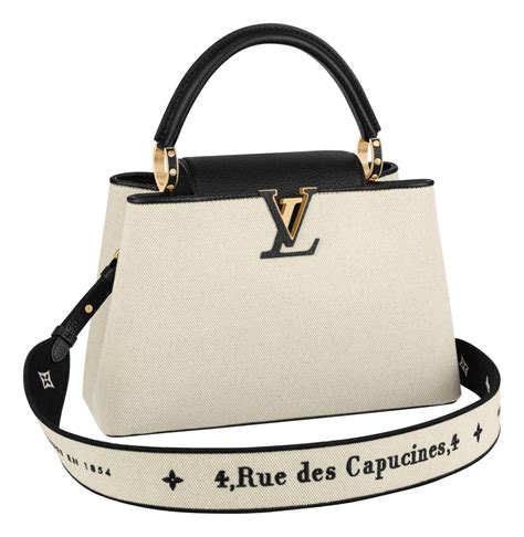 louis vuitton capucine bags